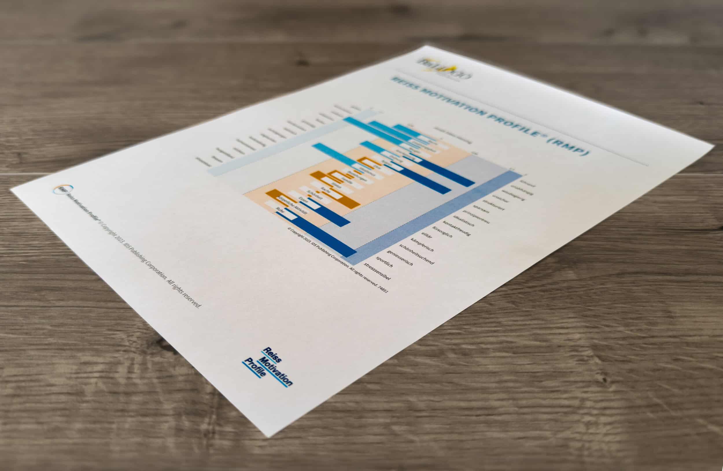 Das Reiss Motivation Profile® nach Steven Reiss – warum wir tun, was wir tun